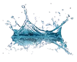 images removebg preview