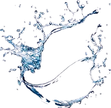 images 1 removebg preview